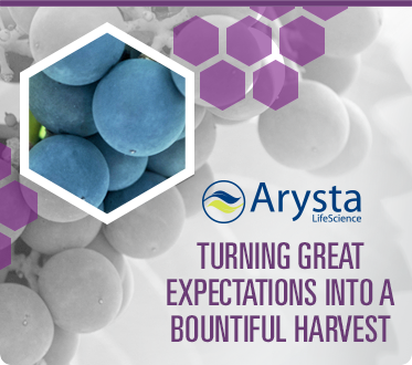 Turning Great Expectations Into A Bountiful Harvest.