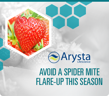 AVOID A SPIDER MITE FLARE-UP THIS SEASON
